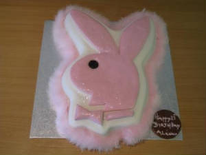 Novelty Cakes in Exeter,Devon